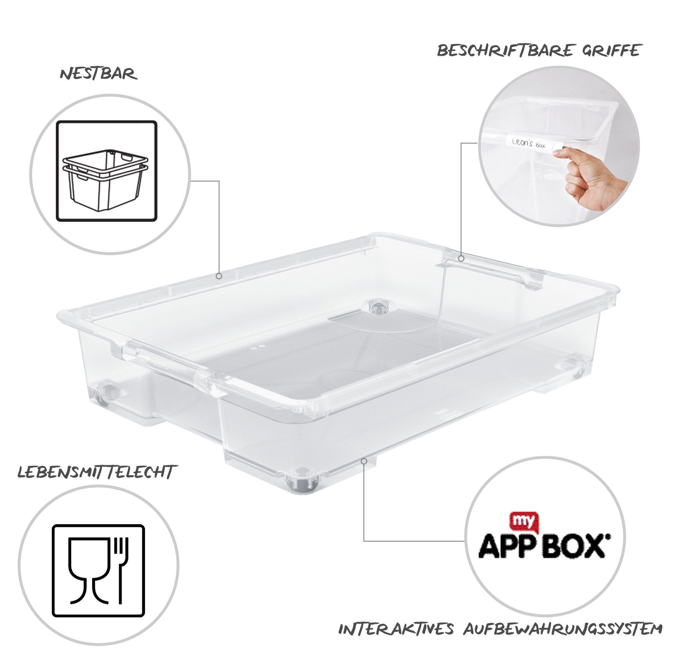 rotho-evo-easy-unterbettbox-50-l-transparent-ohne-deckel image 2